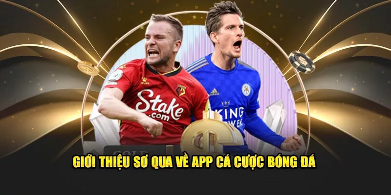 app cá cược bóng đá