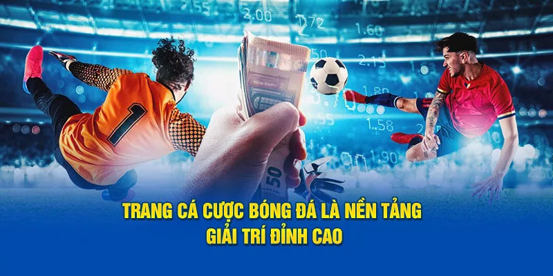 Trang cá cược bóng đá 